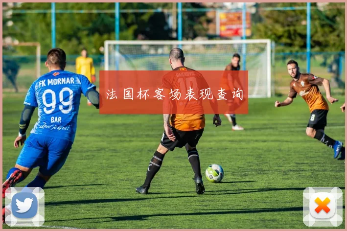 法国杯客场表现查询