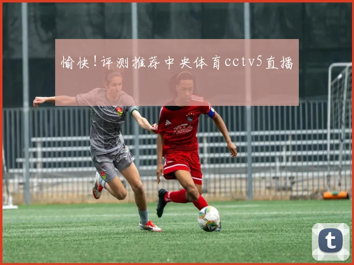 愉快!评测推荐中央体育cctv5直播