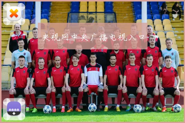 央视网中央广播电视入口