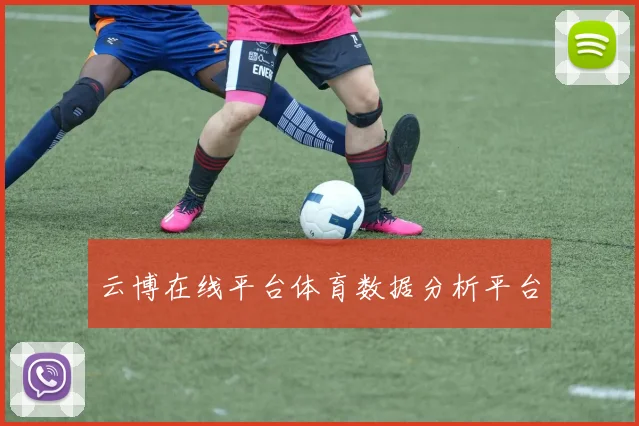 云博在线平台体育数据分析平台