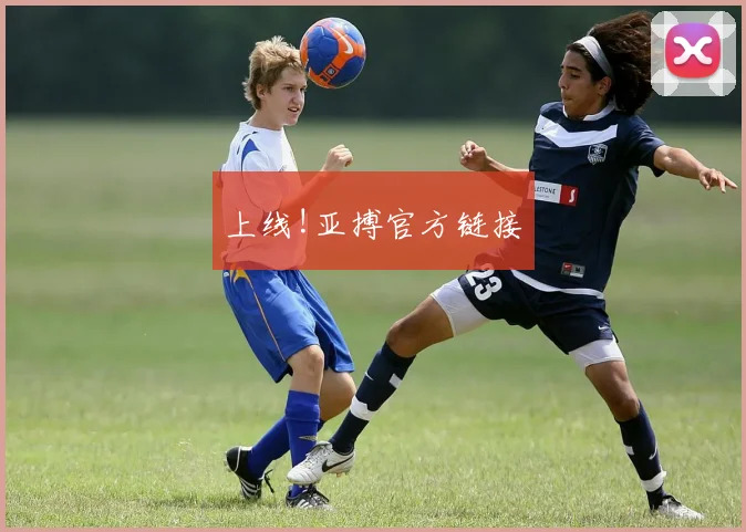 上线!亚搏官方链接