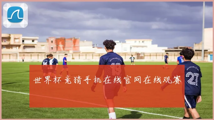 世界杯竞猜手机在线官网在线观赛