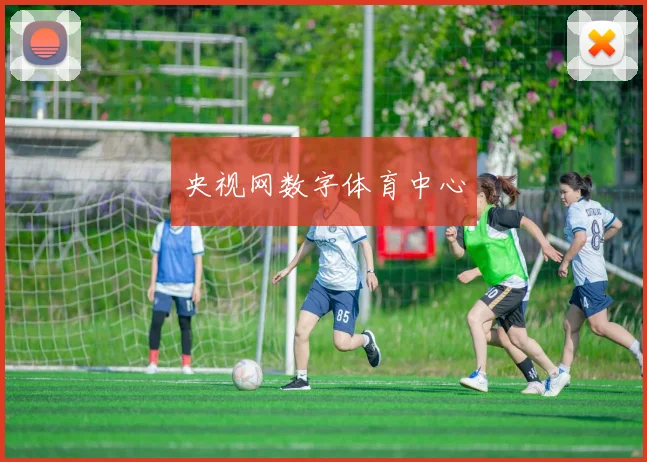 央视网数字体育中心