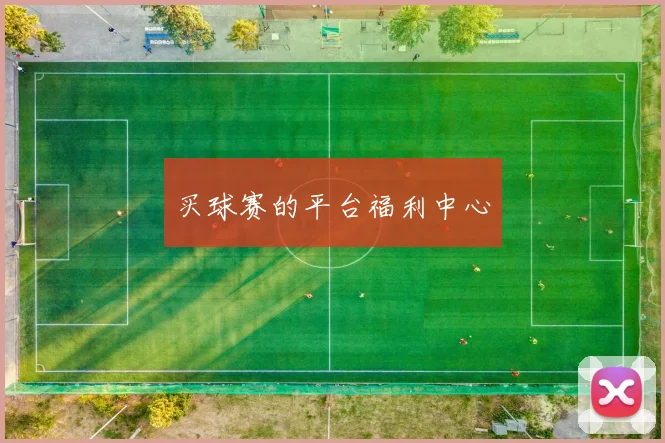 买球赛的平台福利中心