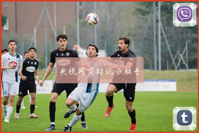 央视网实时比分助手