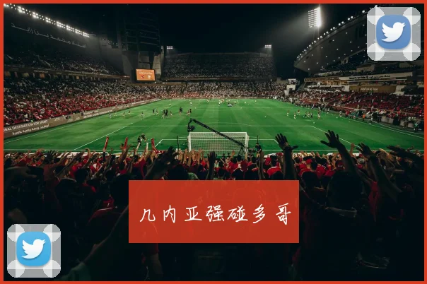 几内亚强碰多哥
