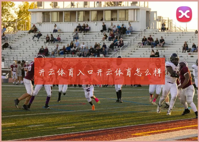 开云体育入口开云体育怎么样