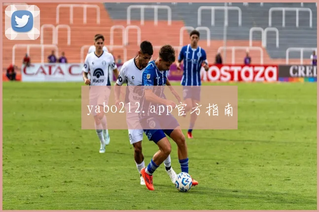 yabo212.app官方指南