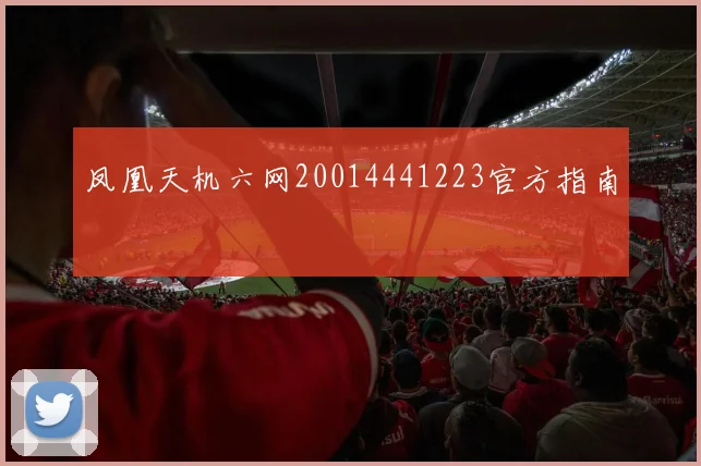 凤凰天机六网20014441223官方指南