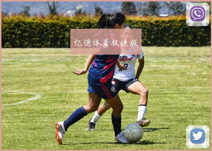 亿德体育极速版
