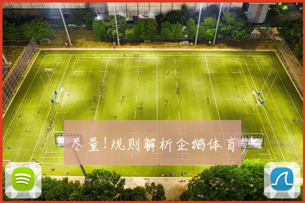 尽量!规则解析企鹅体育
