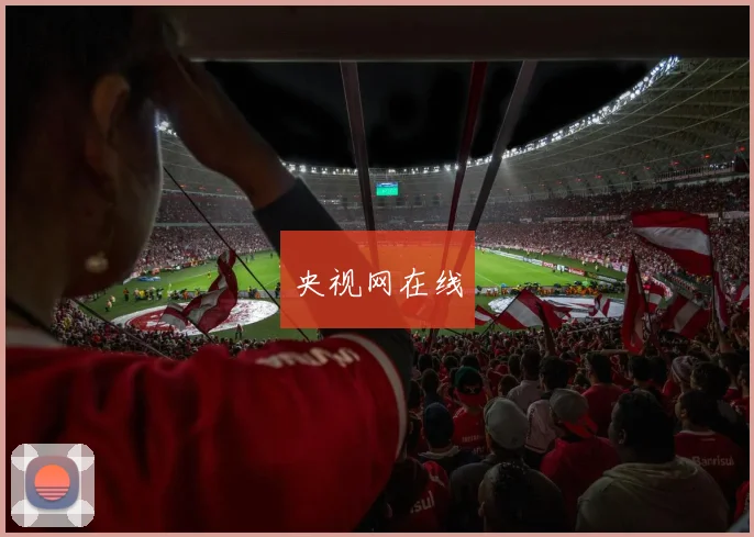 央视网在线