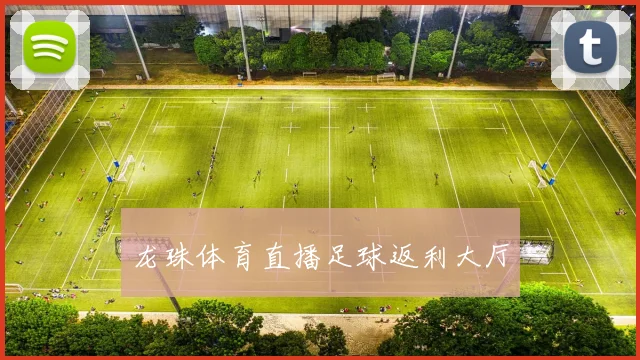 龙珠体育直播足球返利大厅