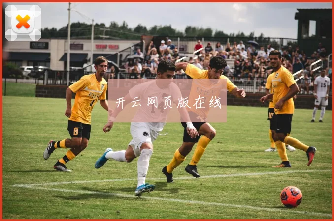 开云网页版在线