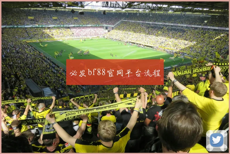 必发bf88官网平台流程