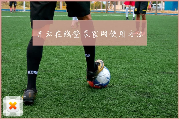 开云在线登录官网使用方法