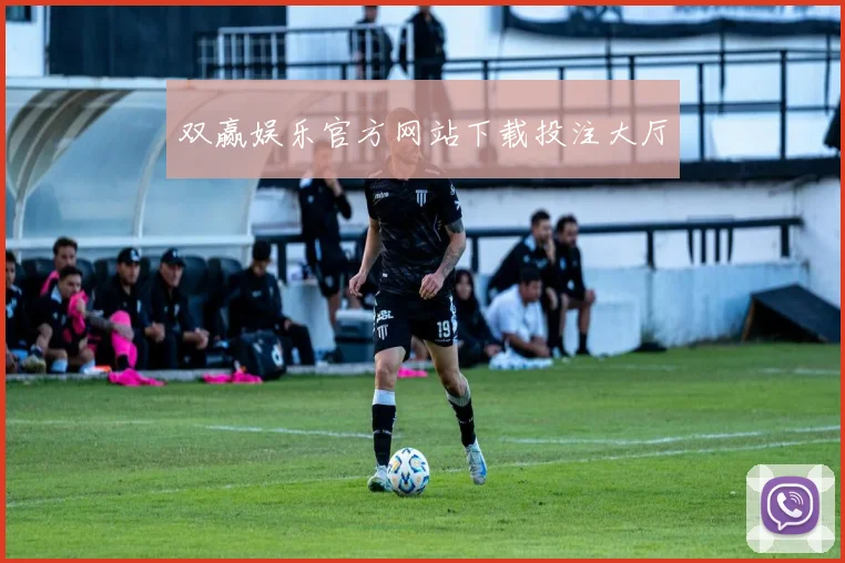 双赢娱乐官方网站下载投注大厅
