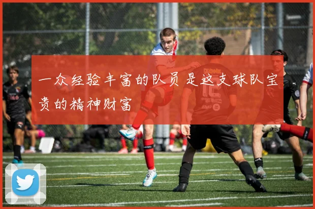 一众经验丰富的队员是这支球队宝贵的精神财富