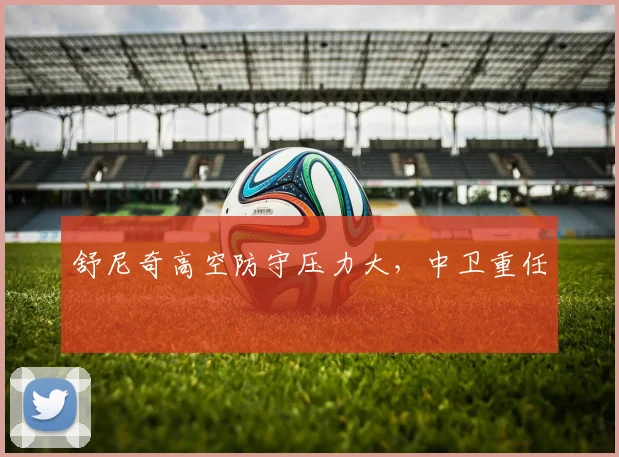 舒尼奇高空防守压力大，中卫重任