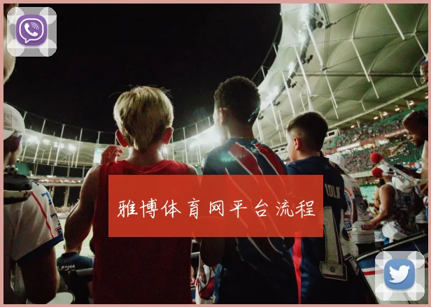 雅博体育网平台流程