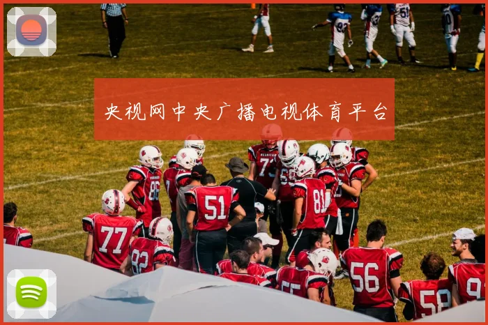 央视网中央广播电视体育平台