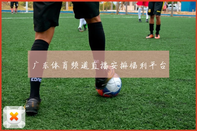 广东体育频道直播安排福利平台