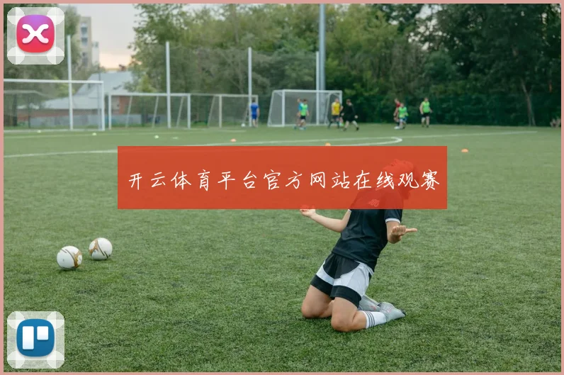开云体育平台官方网站在线观赛