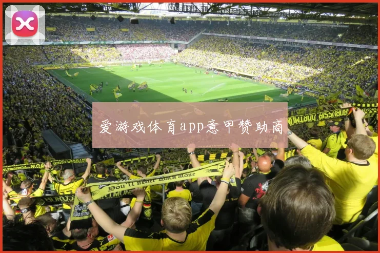 爱游戏体育app意甲赞助商