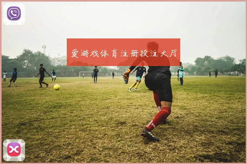 爱游戏体育注册投注大厅
