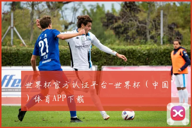 世界杯官方认证平台-世界杯（中国）体育APP下载
