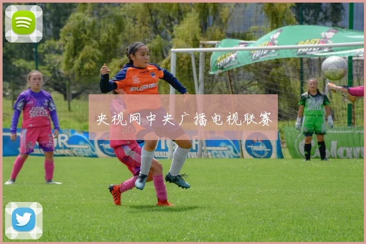 央视网中央广播电视联赛
