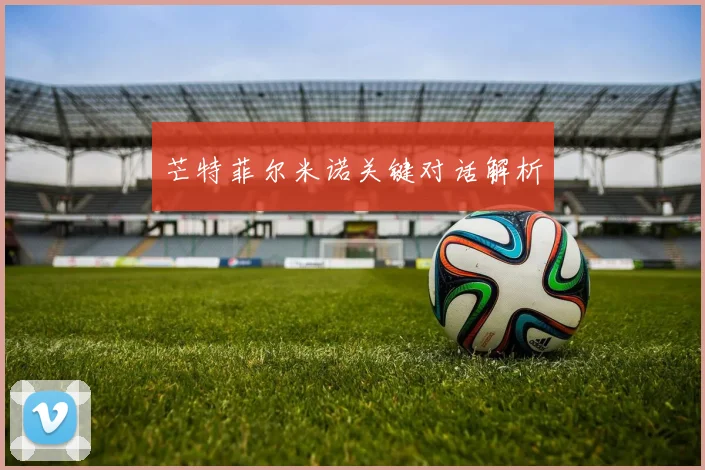 芒特菲尔米诺关键对话解析