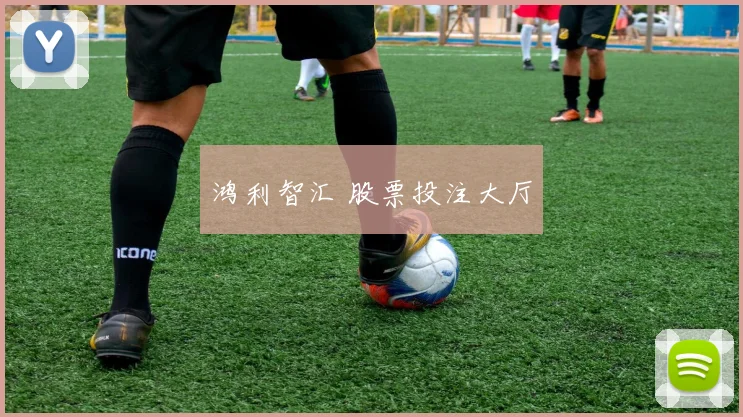 鸿利智汇 股票投注大厅