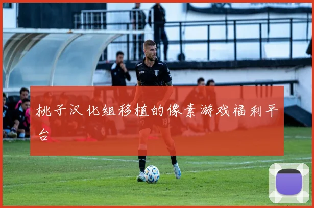 桃子汉化组移植的像素游戏福利平台