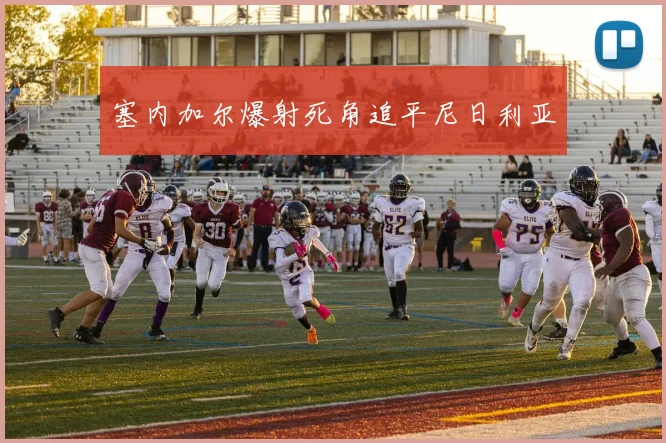 塞内加尔爆射死角追平尼日利亚