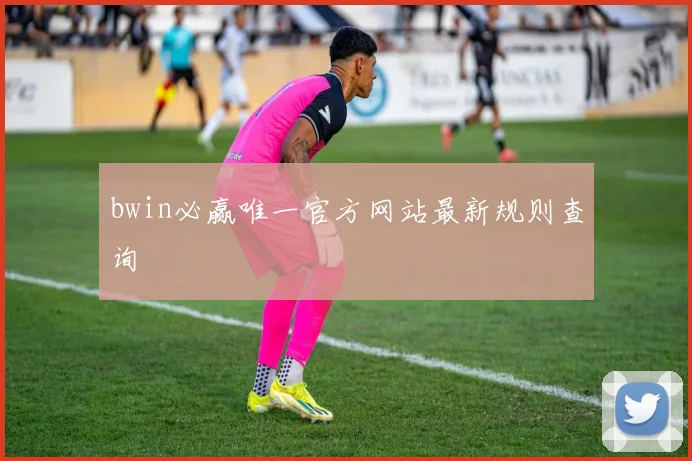 bwin必赢唯一官方网站最新规则查询