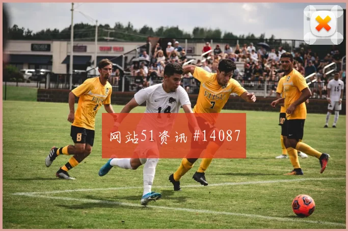 E组科特迪瓦厄瓜多尔赛前比分解读