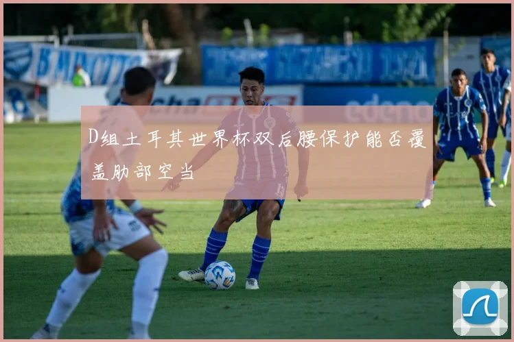 D组土耳其世界杯双后腰保护能否覆盖肋部空当