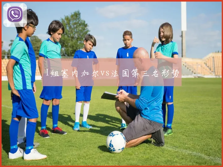 I组塞内加尔vs法国第三名形势