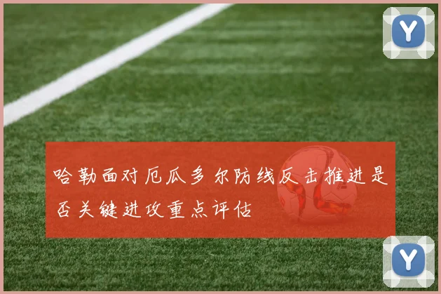哈勒面对厄瓜多尔防线反击推进是否关键进攻重点评估