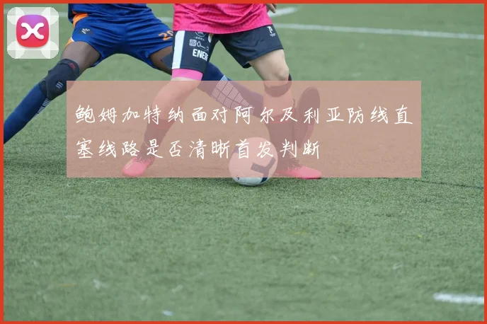 鲍姆加特纳面对阿尔及利亚防线直塞线路是否清晰首发判断